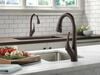 Single Handle Pull-Down Kitchen Faucet with ShieldSpray&reg; Technology