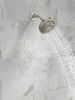 Fixed 5-Setting Showerhead