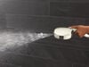 7-Setting In2ition&reg; with ProClean&reg;