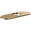 Escutcheon & Gasket