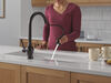 Pull-Down Kitchen 1 Handle with Soap Dispenser Bundle