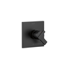 Monitor&reg; 17 Series Valve Only Trim