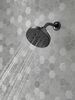 H<sub>2</sub>Okinetic&reg; 5-Setting Contemporary Raincan Shower Head (Recertified)