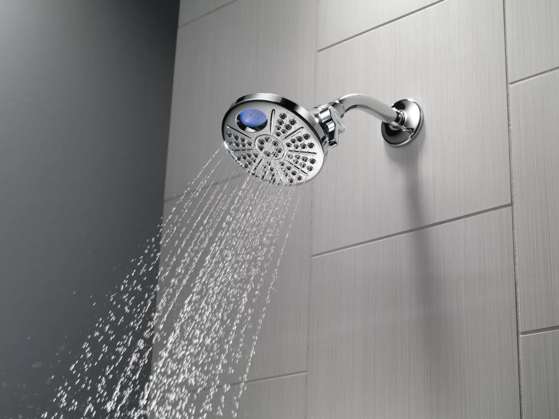 Temp2O&reg; 6-Setting Shower Head