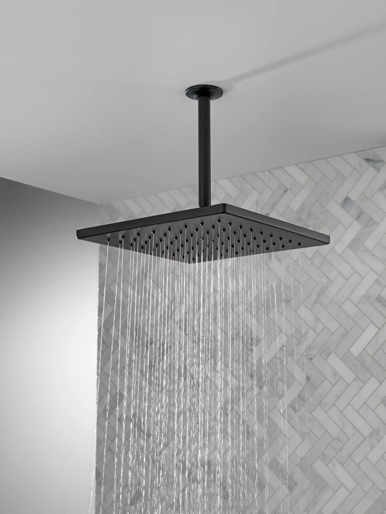 Single-Setting Metal Raincan Shower Head (Recertified)