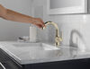 Single Handle Pull-Down Bathroom Faucet