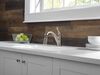 Single Handle Pull-out Kitchen Faucet (Recertified)