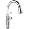 Pull-Down Kitchen w/ShieldSpray (Recertified)