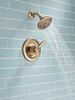 Shower Trim 17S (Recertified)