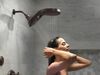 Shower Arm