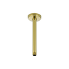 Ceiling Mount Shower Arm and Flange