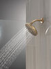PivotPro&trade; Raincan Shower Head