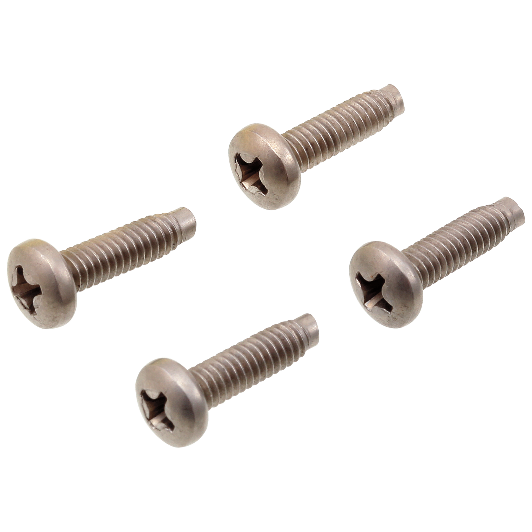 Screws (4)