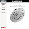 PivotPro&trade; Raincan Shower Head