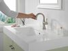 Single Handle Pull Down Bathroom Faucet
