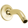 Wall Mount Shower Arm & Flange