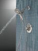 Monitor&reg; 17 Series Shower Trim with In2ition&reg;