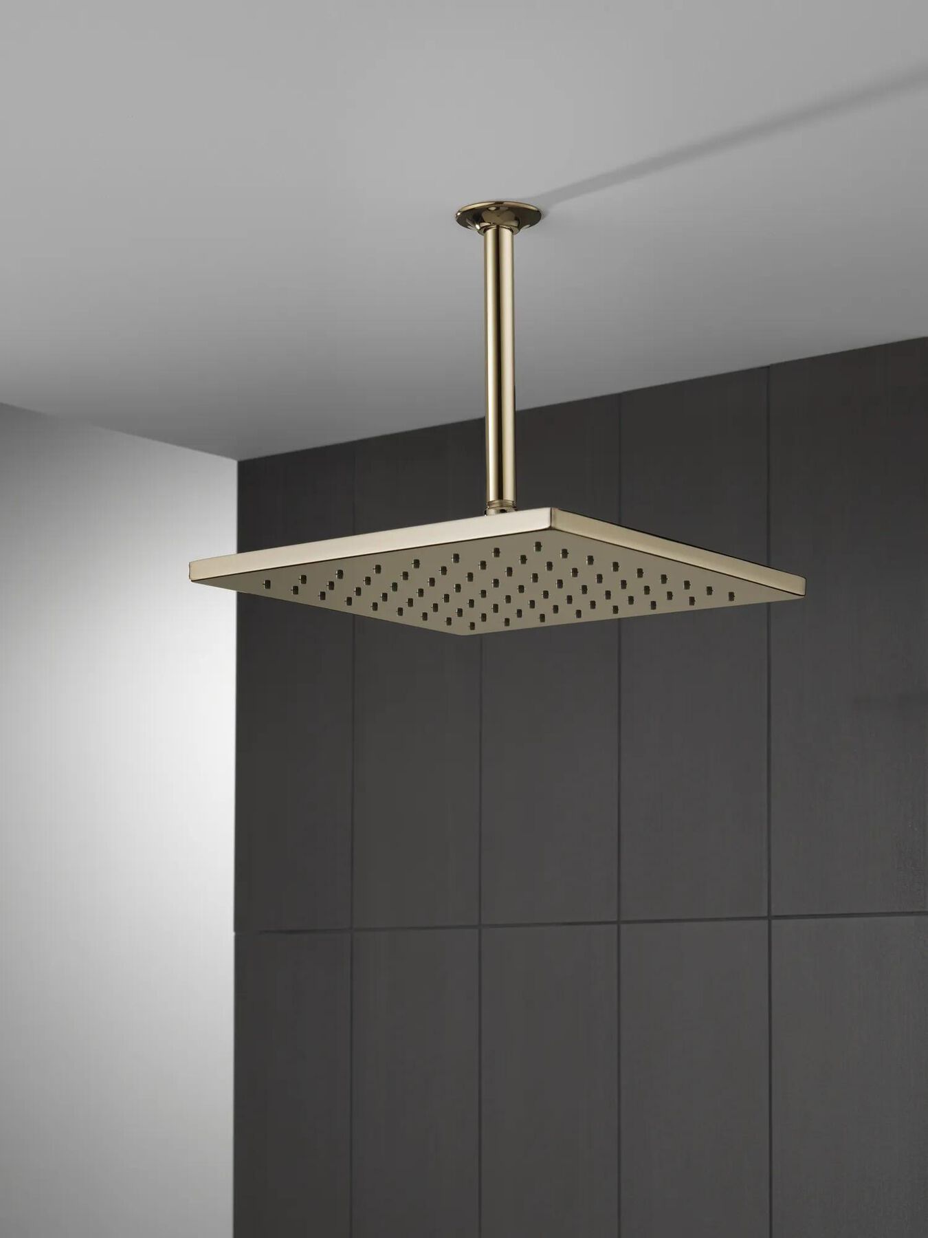 Single-Setting Metal Raincan Shower Head