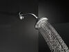 5-Setting Raincan Shower Head