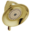Premium 3-Setting Shower Head