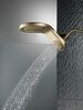 HydroRain&reg; H<sub>2</sub>Okinetic&reg; 5-Setting Two-in-One Shower Head