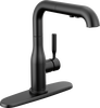 Pull-Out Kitchen Faucet (Recertified)