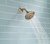 5-Setting Raincan Shower Head