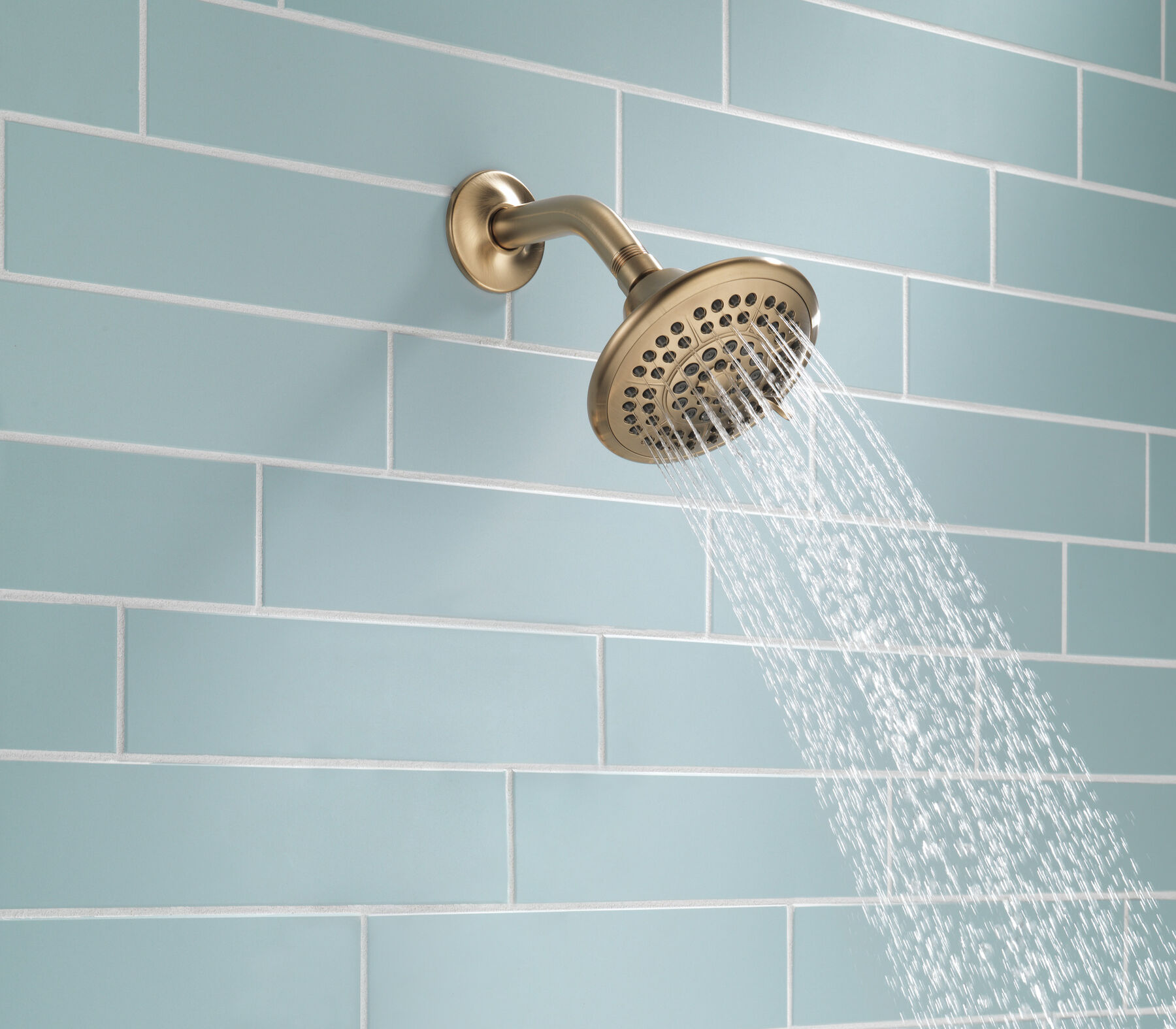 5-Setting Raincan Shower Head