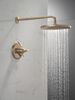17 Series Shower Trim
