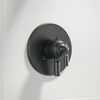 Monitor&reg; 17 Series Valve Trim Only