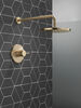 Monitor 14 Series Shower Trim
