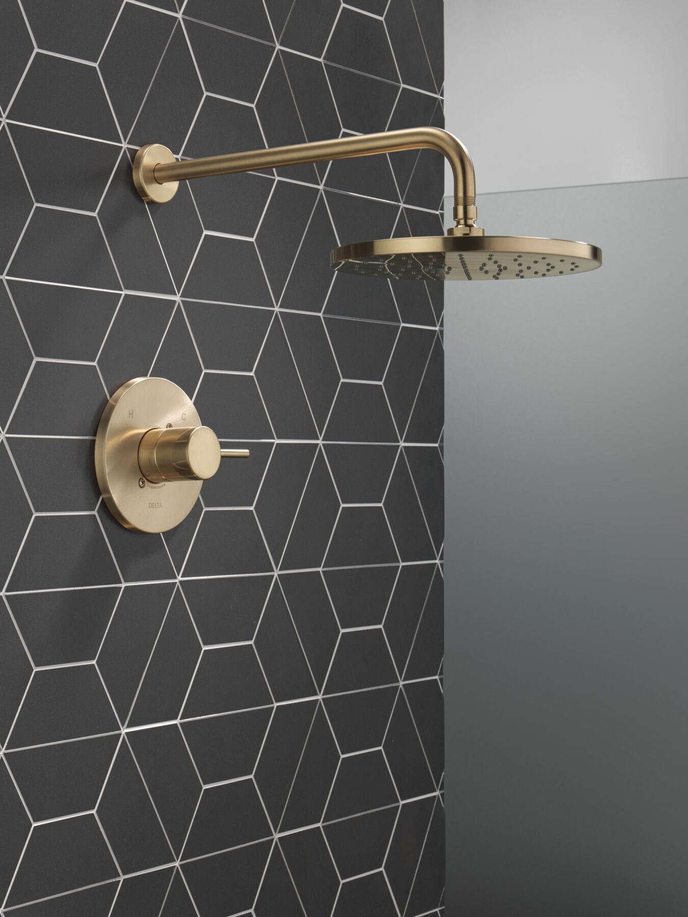 Monitor 14 Series Shower Trim