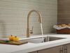 Pull-Down Kitchen Limited Swivel (Recertified)