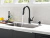 Single Handle Pull-Down Kitchen Faucet with Soap Dispenser (Recertified)