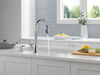 Single Handle Pull-Down Kitchen Faucet with Soap Dispenser and ShieldSpray Technology