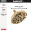 Fixed 5-Setting Showerhead