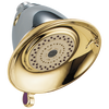 Premium 3-Setting Shower Head