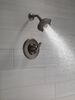 Shower Trim 14S (Recertified)