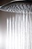Shower Head