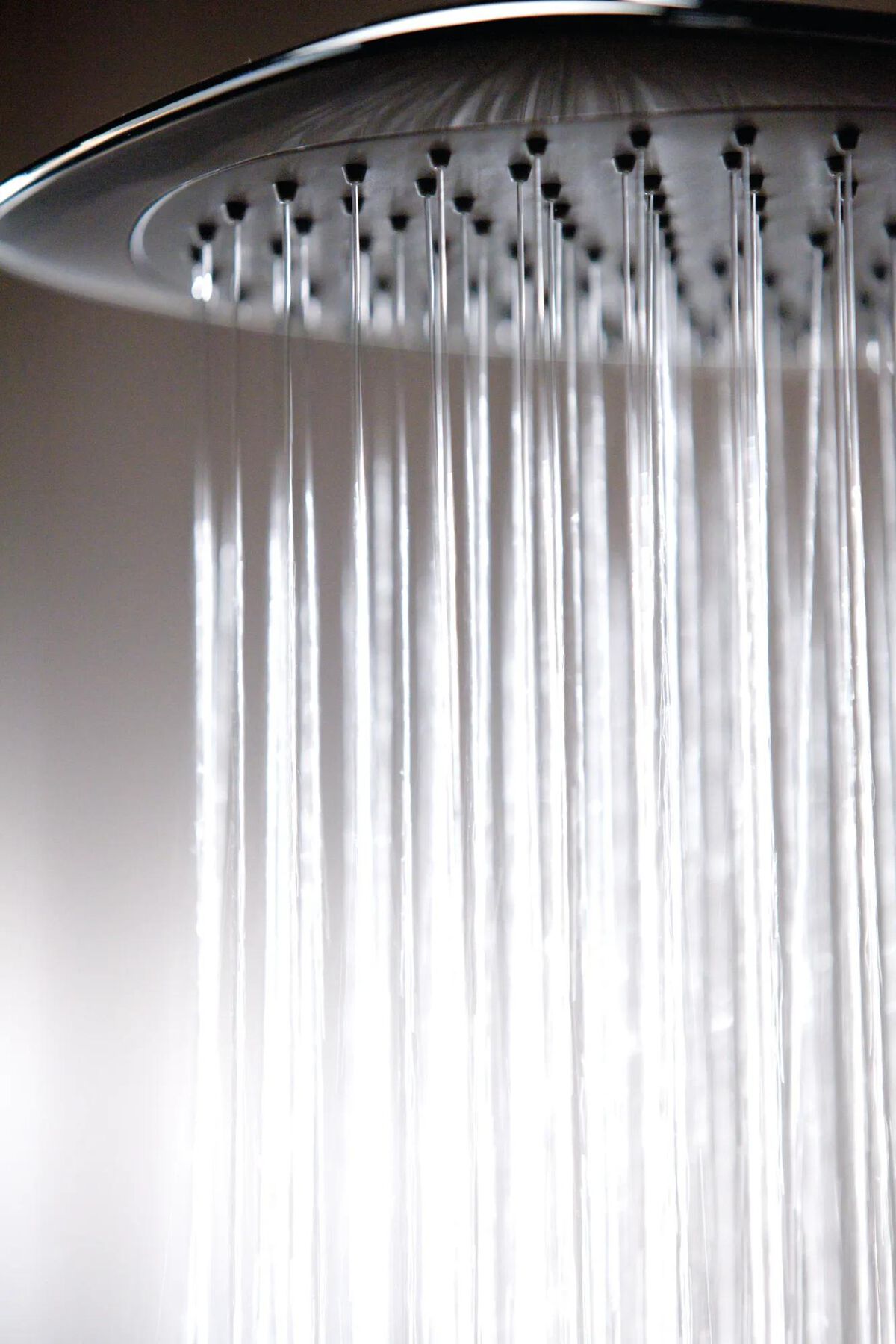 Shower Head