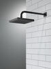 Raincan Single-Setting Shower Head