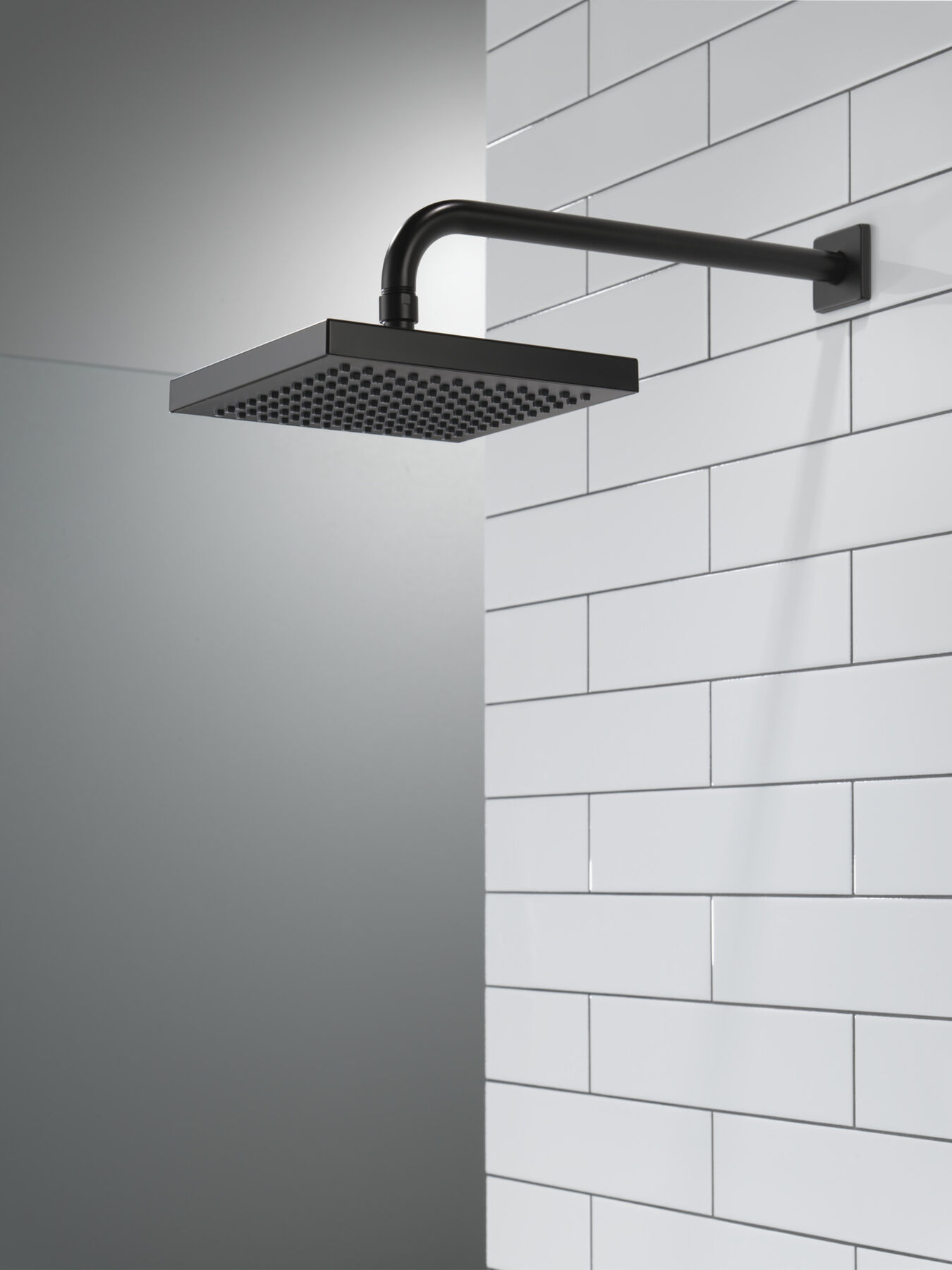 Raincan Single-Setting Shower Head