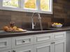 Single Handle Pull-Down Kitchen Faucet with ShieldSpray&reg; Technology