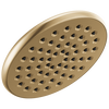 Single-Setting Raincan Shower Head