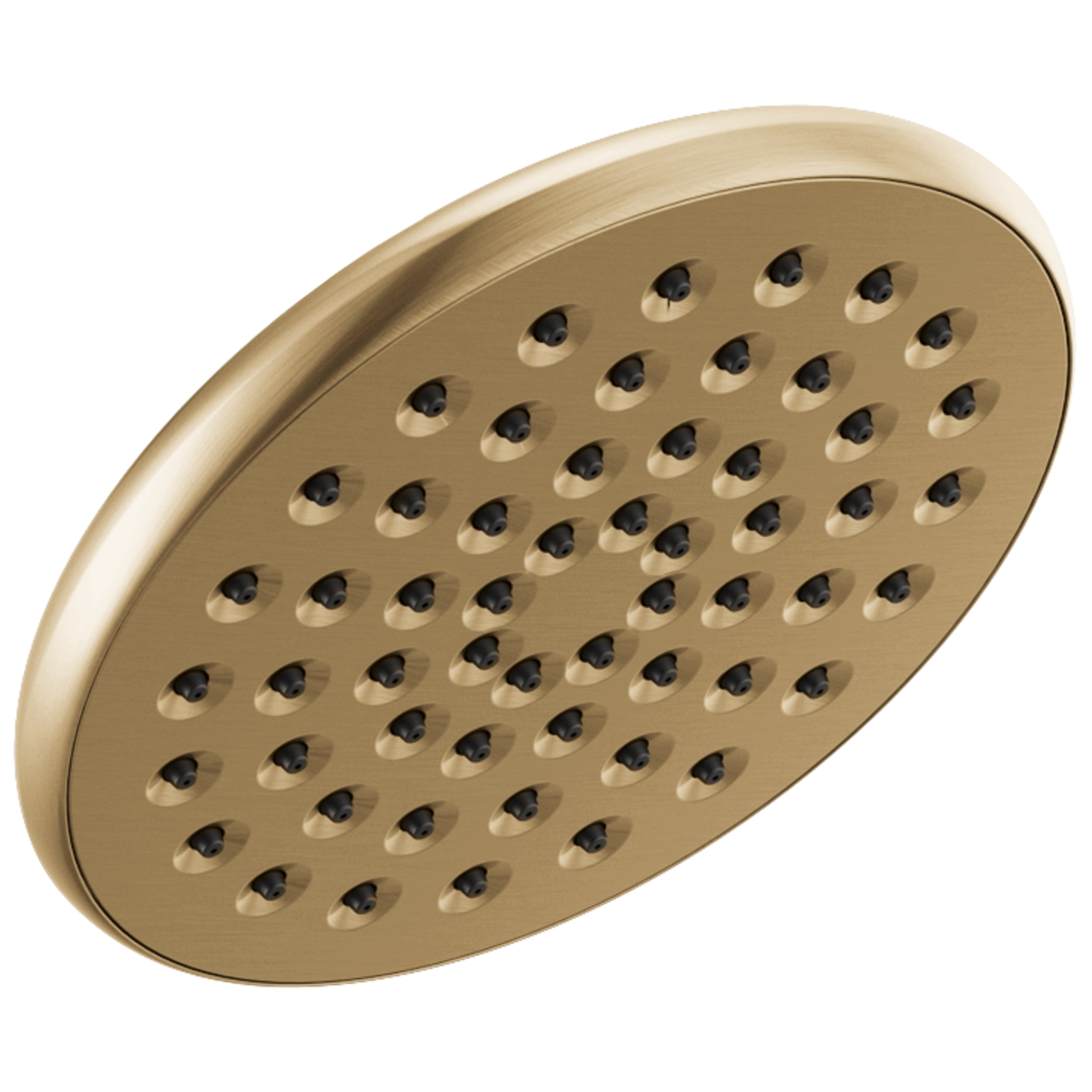 Single-Setting Raincan Shower Head