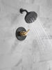 Monitor&reg; 14 Series H2Okinetic&reg; Shower