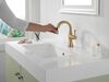 Single Handle Pull Down Bathroom Faucet
