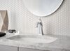 Single Handle Bathroom Faucet