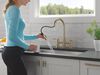 Two Handle Pull-Down Bridge Kitchen Faucet