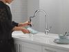Single Handle Pull-Down Kitchen Faucet with ShieldSpray Technology